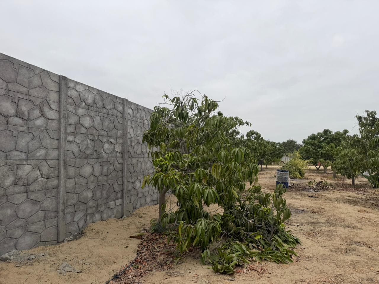 Proyecto Villa El Sol